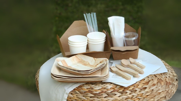 Eco-Friendly Disposables: Sustainable Bowls & Lids for Every Occasion
