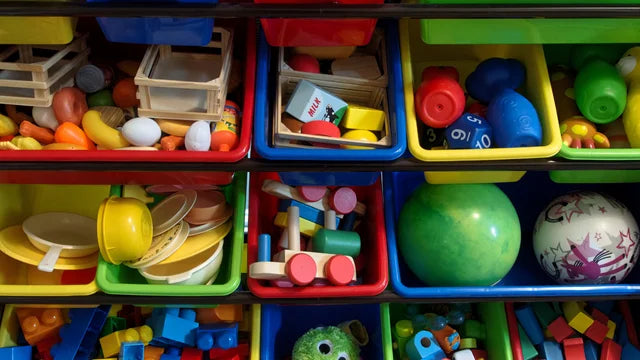 Toy Organizer