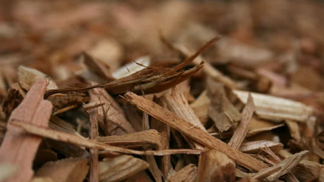 Wood Chips