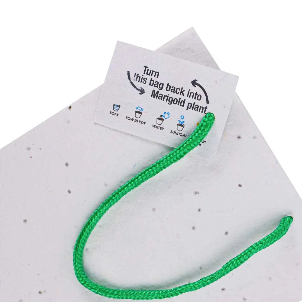 BYFT005801 BYFT A5 Plantable marigold Seed Paper Bag with Tags 300 Gsm Set of 01 SPS 07 A