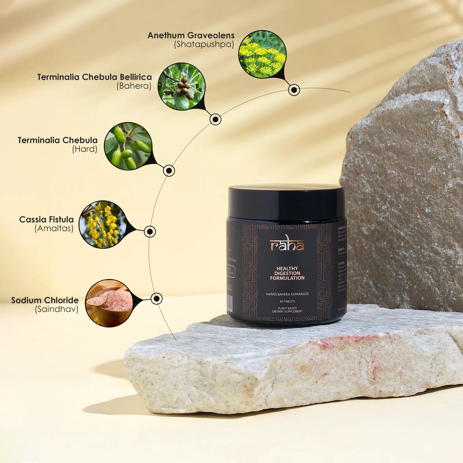BYFT009371 Raha 100 Natural Healthy Digestion Formulation E scaled.webp