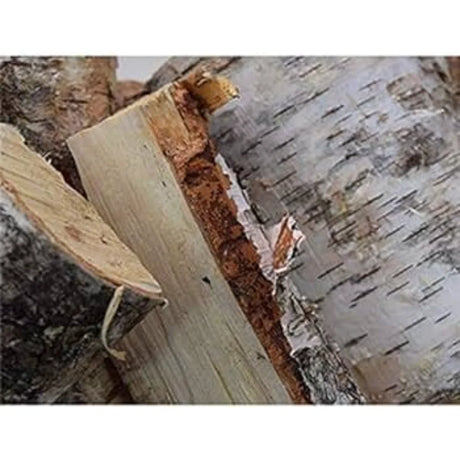 BYFT011972 Bad Axe Birch Firewood 21L A.webp