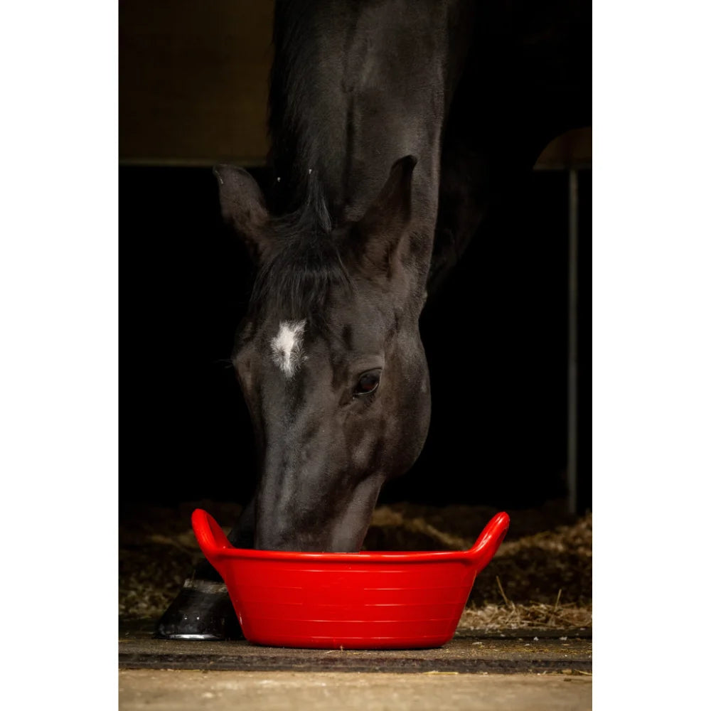 BYFT012318 Red Gorilla Gorilla Plas Gorilla Plas Medium Skip Red D.webp