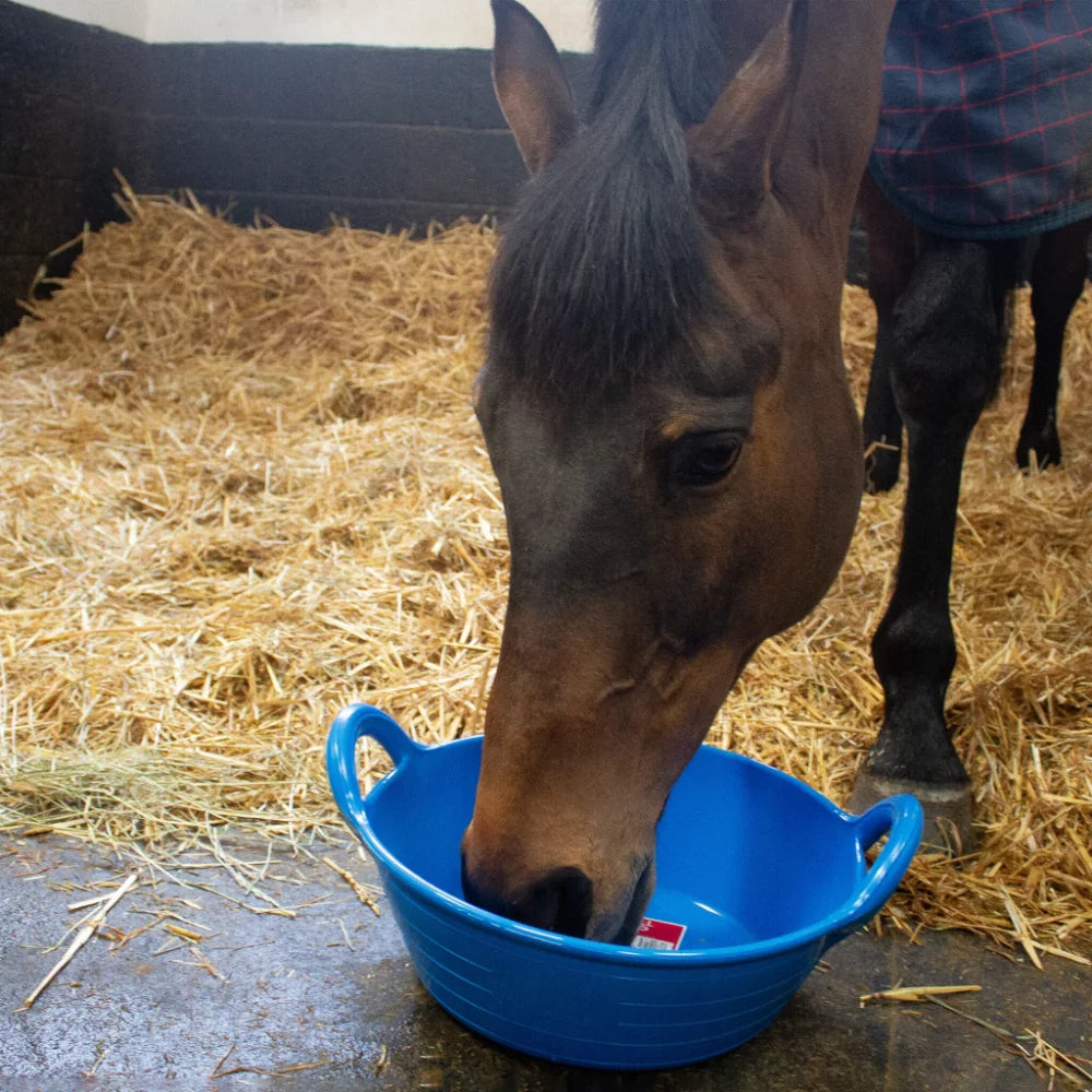 Red Gorilla - Gorilla Plas