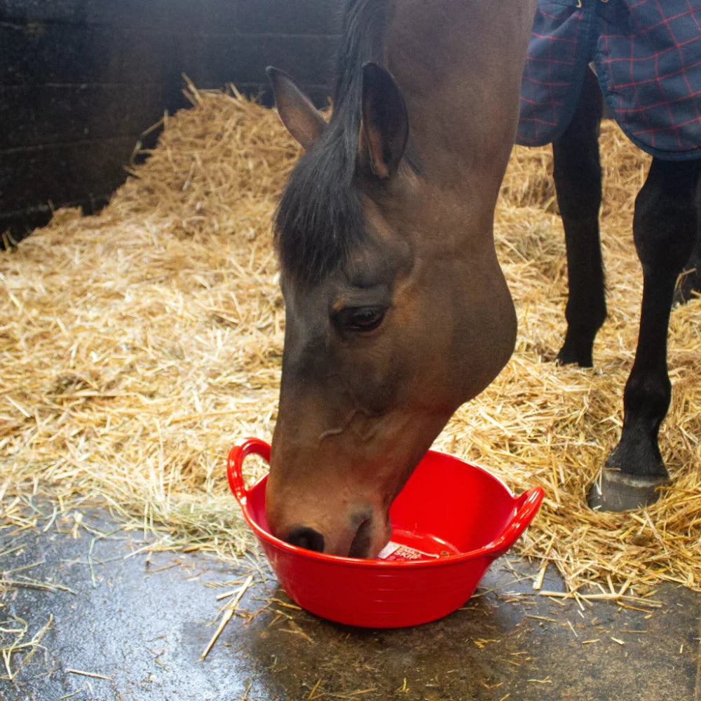 BYFT012320 Red Gorilla Gorilla Plas Gorilla Plas Small Skip Red C.webp