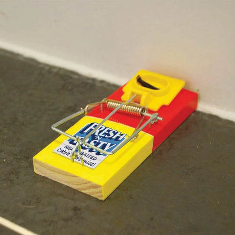 BYFT012384 STV Fresh Baited Mouse Trap C.webp