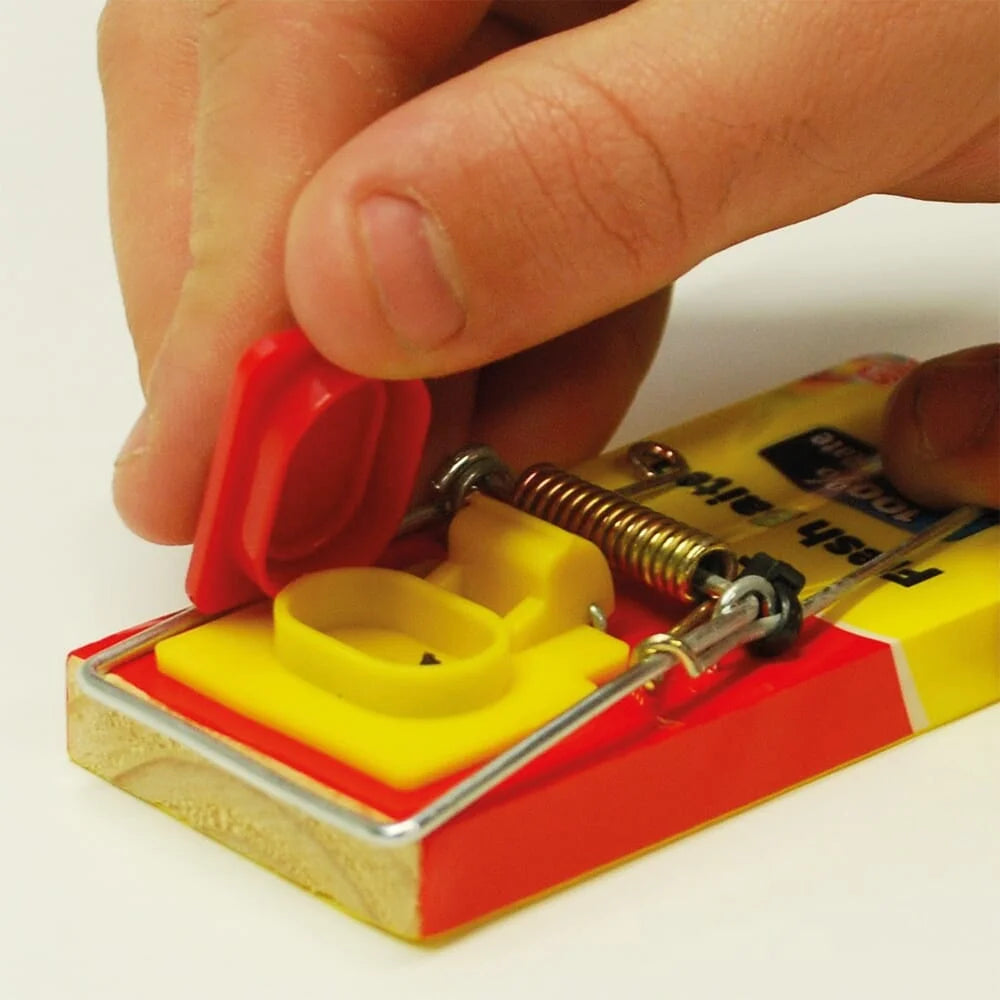 BYFT012384 STV Fresh Baited Mouse Trap D.webp