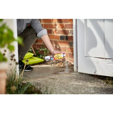 BYFT012402 STV Ant Crawling Insect Killer 300ml Aerosol B.webp