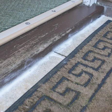 BYFT012403 STV Ant Killer Powder 450g C.webp