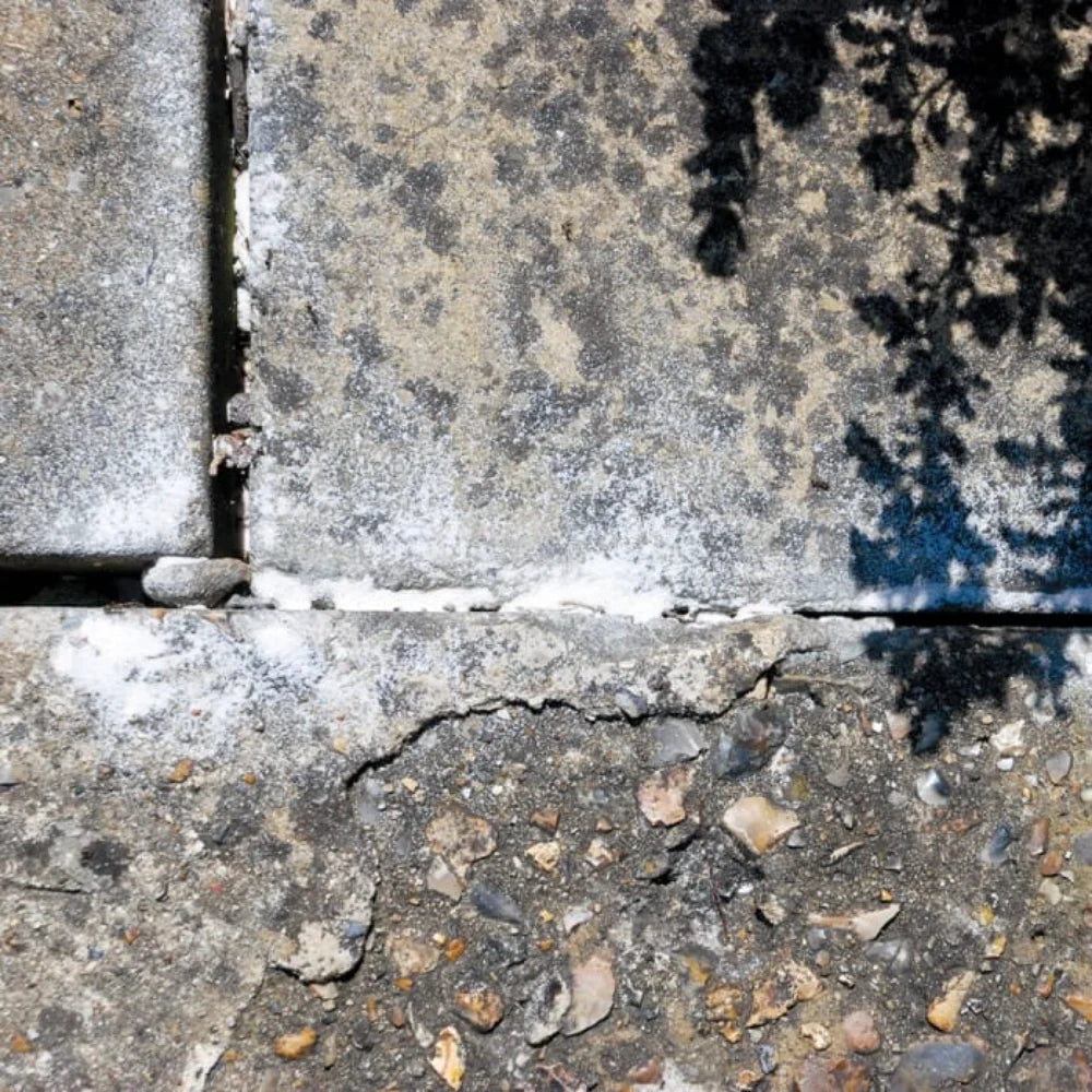 BYFT012403 STV Ant Killer Powder 450g D.webp