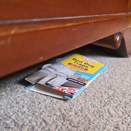 BYFT012408 STV Bed Bug Trap 5 Pack.webp