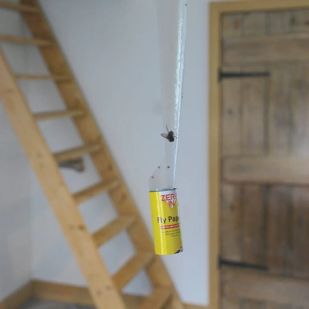 BYFT012422 STV Fly Papers FSC 8 Pack A.webp