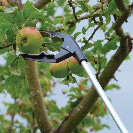 BYFT012423 STV Grip N Grab Picker B.webp