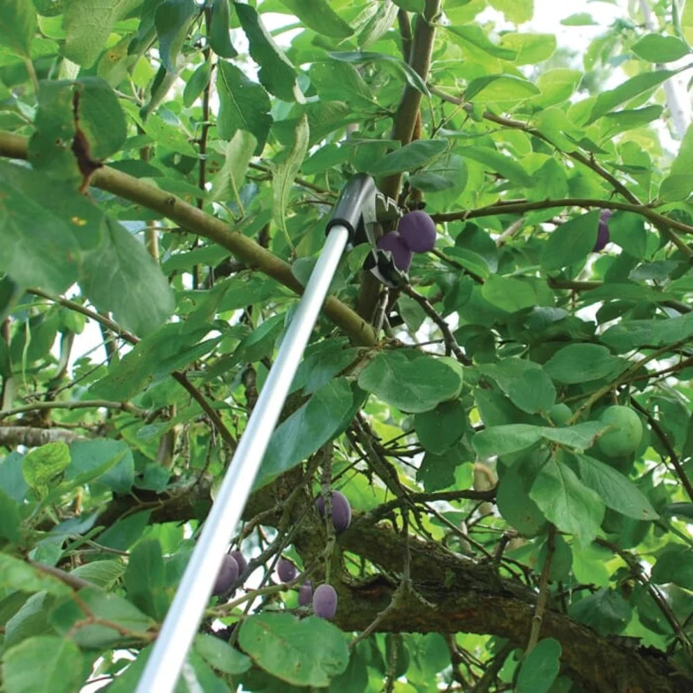 BYFT012423 STV Grip N Grab Picker C.webp