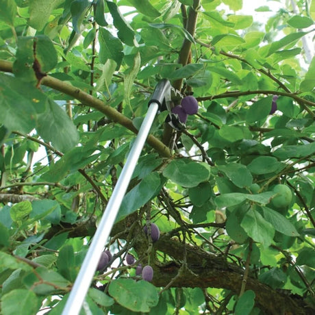 BYFT012423 STV Grip N Grab Picker C.webp