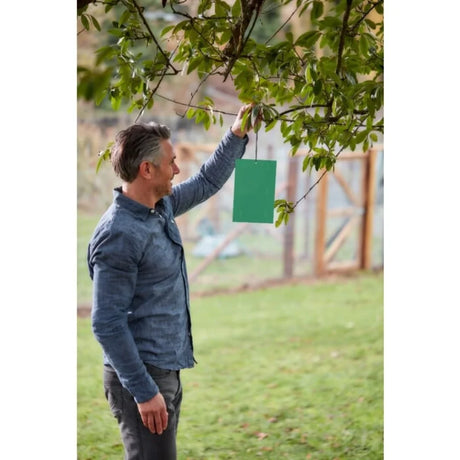 BYFT012425 STV Horse Chestnut Leaf Miner Trap Twinpack B.webp