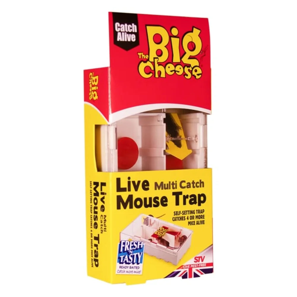 BYFT012428 STV Live Multi Catch Mouse Trap B.webp