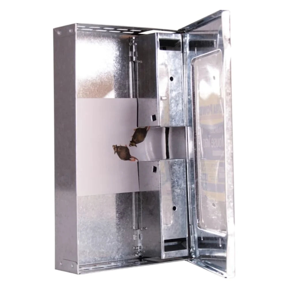 BYFT012429 STV Live Multi Catch Mouse Trap D.webp