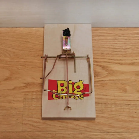 BYFT012455 STV Wooden Rat Trap Twinpack A.webp