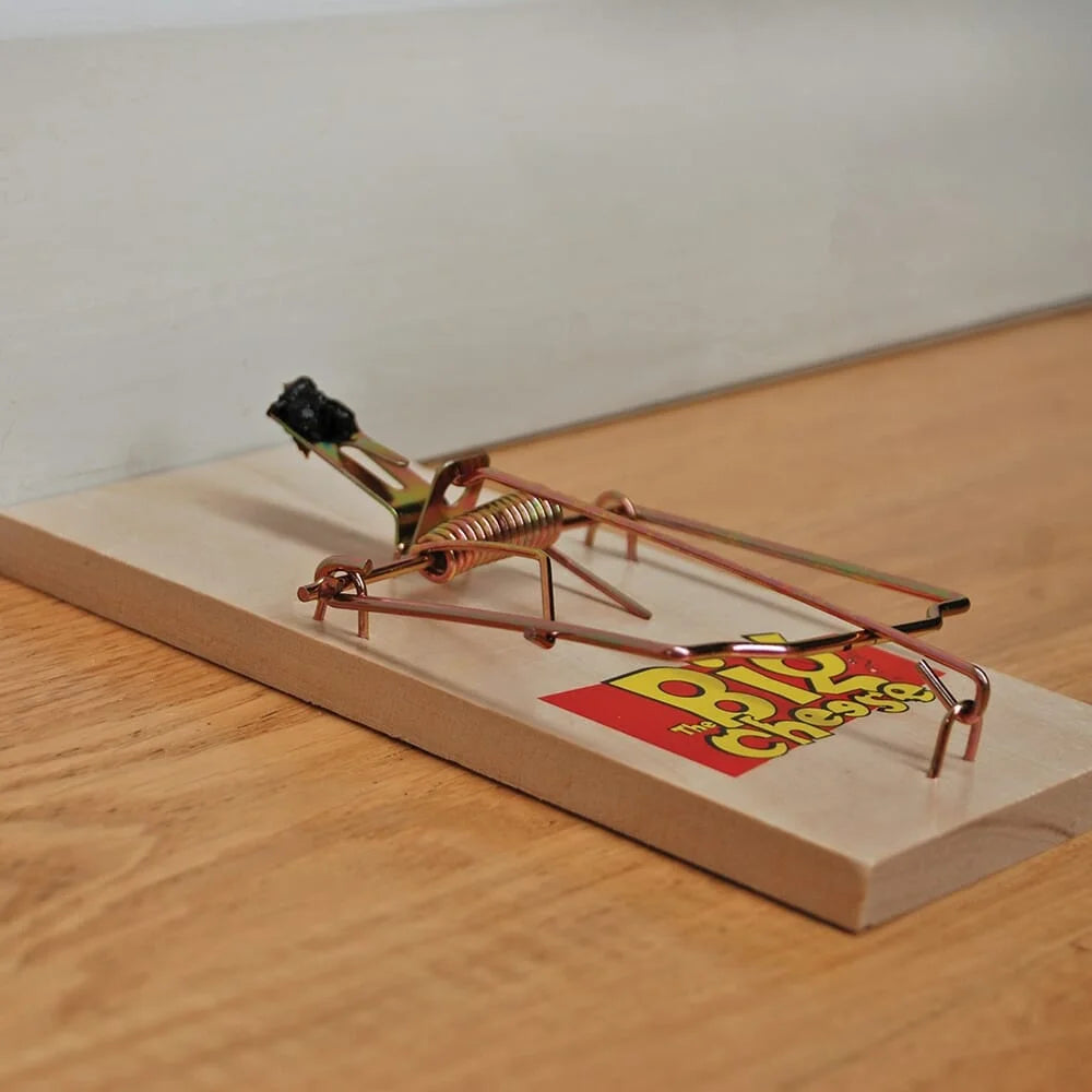 BYFT012455 STV Wooden Rat Trap Twinpack B.webp