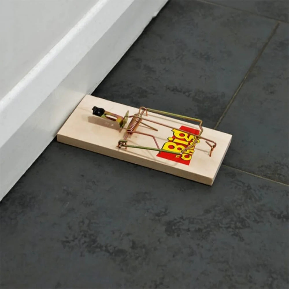 BYFT012455 STV Wooden Rat Trap Twinpack.webp