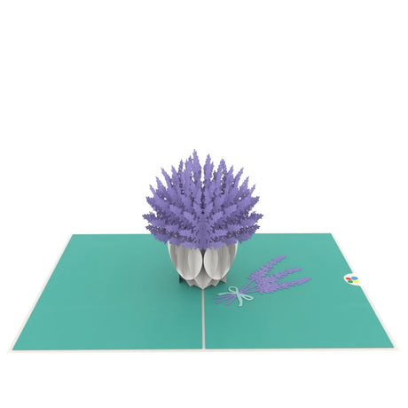 Lavender Vase Pop Up Card
