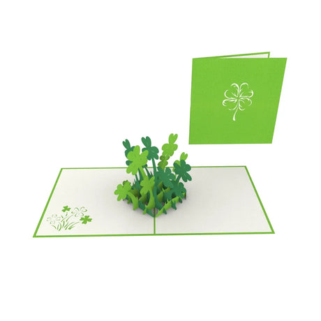 Ferns Pop Up Card