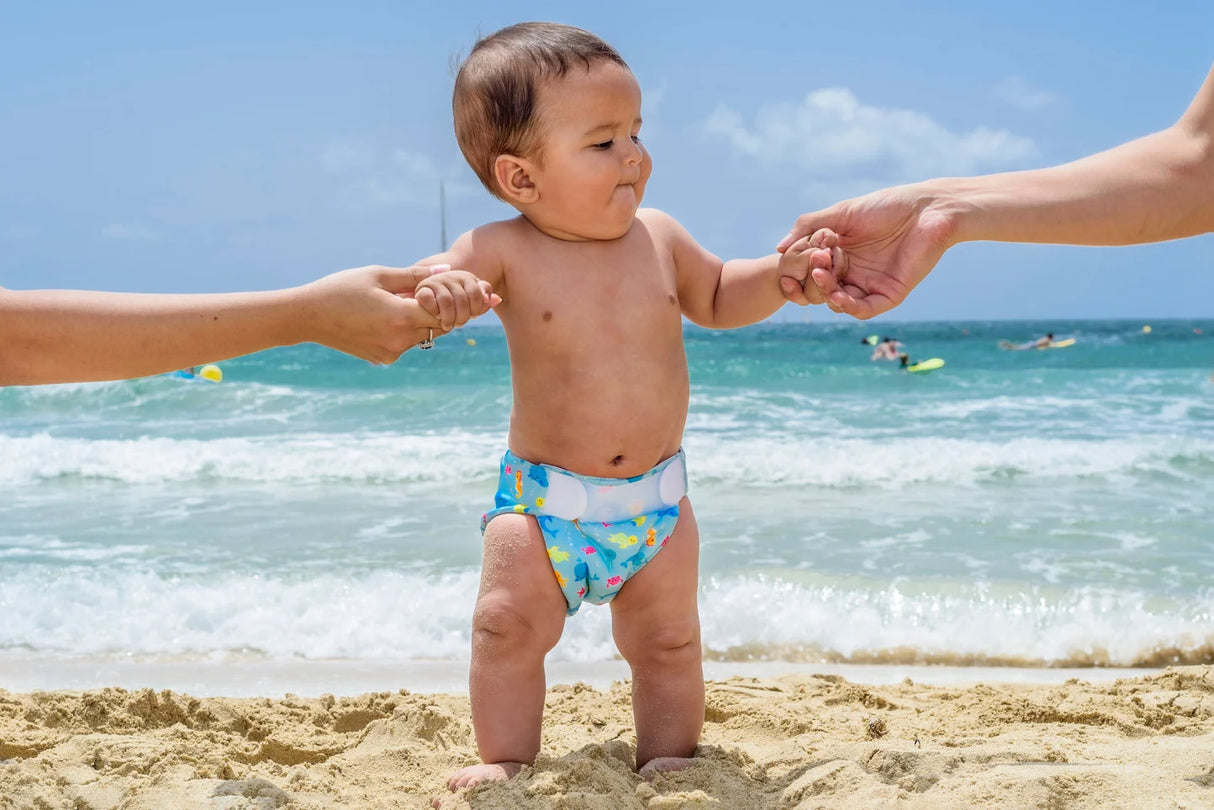 BYFT021068 Fred Nappy Boy 20lb 23lb Blue Set of 01 I.webp