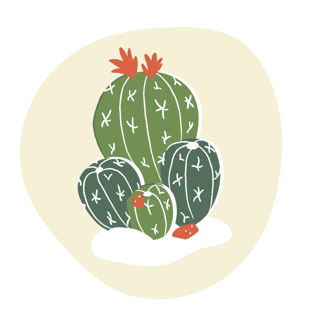 BYFT Botanical Cactus Tote Bag – Vibrant Desert Print Reusable Tote | Everyday Carry Bag (Set of 1)