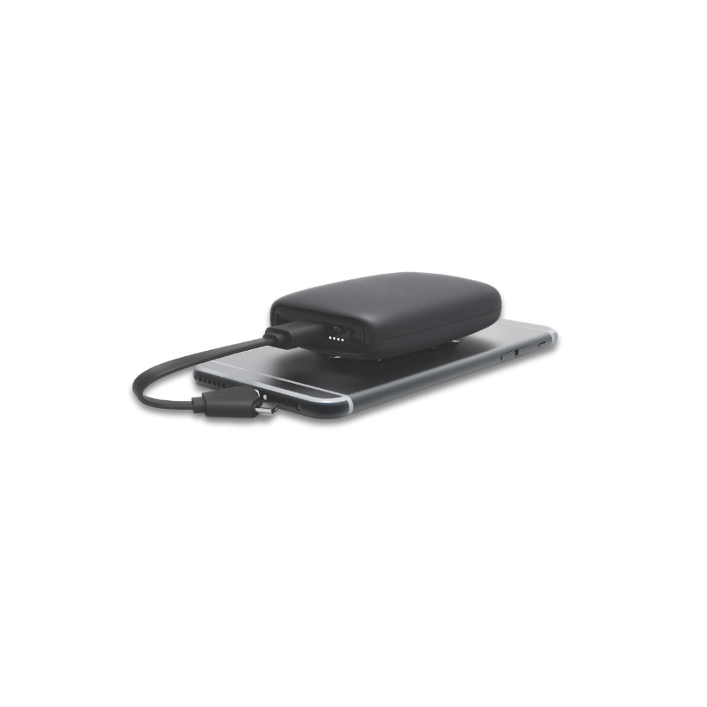 BYFT Squid Max Light Up