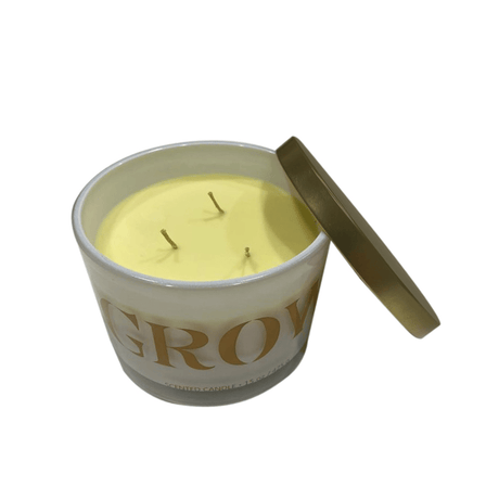 BYFT Hero Jar Peony And Amber Scent Candle Iconic Design