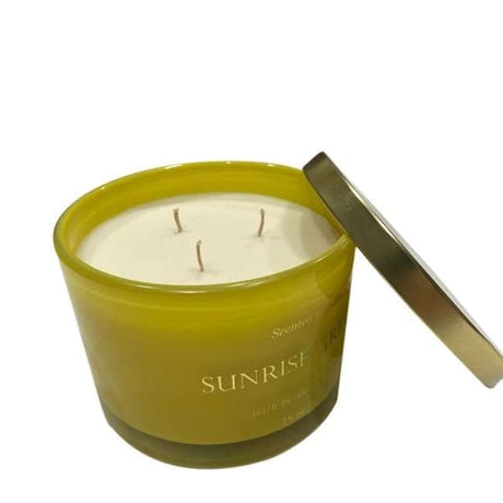 BYFT Hero Jar Candle Iconic Design Bergamot And Basil Scent