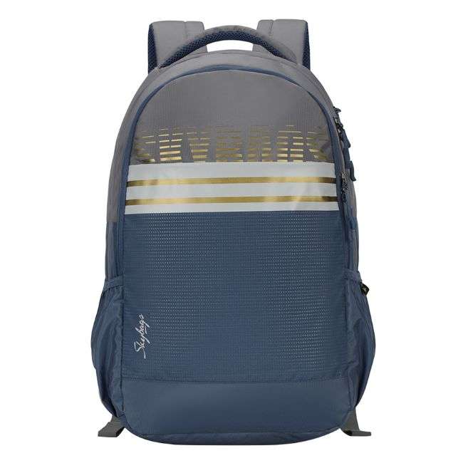 Skybags Herios 02 Unisex Grey Laptop Backpack 27 Ltr.