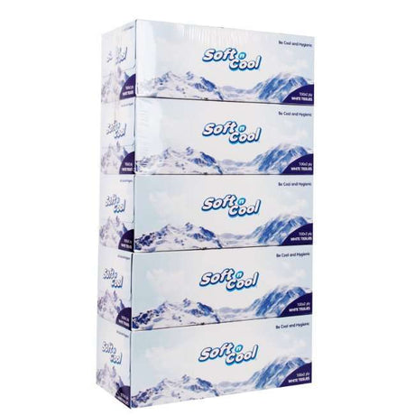 Soft N Cool Facial Tissue, 100Pulls x 2Ply - 5Boxes