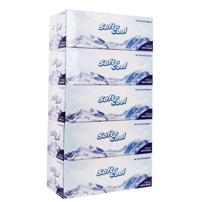 Soft N Cool Facial Tissue, 100Pulls x 2Ply - 5Boxes