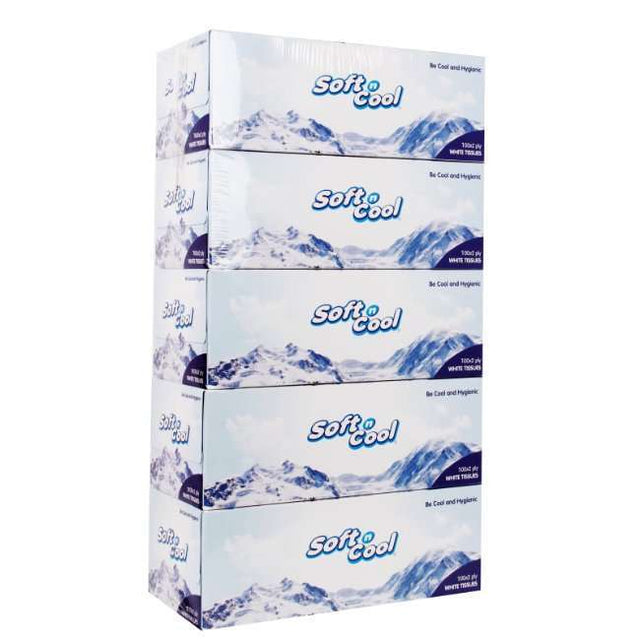 Soft N Cool Facial Tissue, 100Pulls x 2Ply - 5Boxes