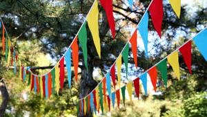 Banners & Garlands