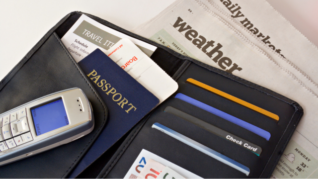 Travel wallet