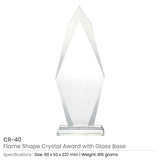 BYFT004210 Flame Shaped Crystal Awards Transparent Set of 1 A.jpg