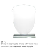 BYFT004216 Shield Shaped Crystal Awards Transparent Set of 1 A.jpg