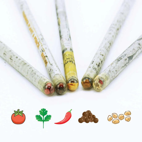 BYFT005785 BYFT Plant Pencil Kit Set of 01 SPS 02 A.webp