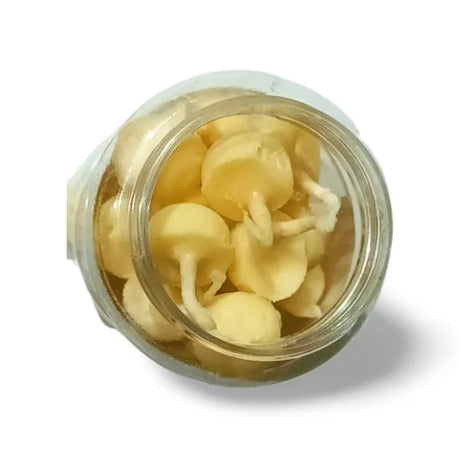 BYFT008064 POOJA ESSENTIALS VANASPATI GHEE BATTI WHITE Set of 1 C.webp