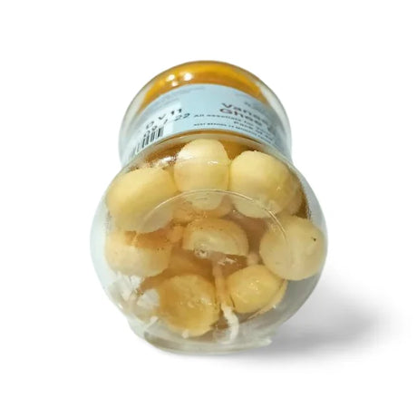 BYFT008064 POOJA ESSENTIALS VANASPATI GHEE BATTI WHITE Set of 1 D.webp
