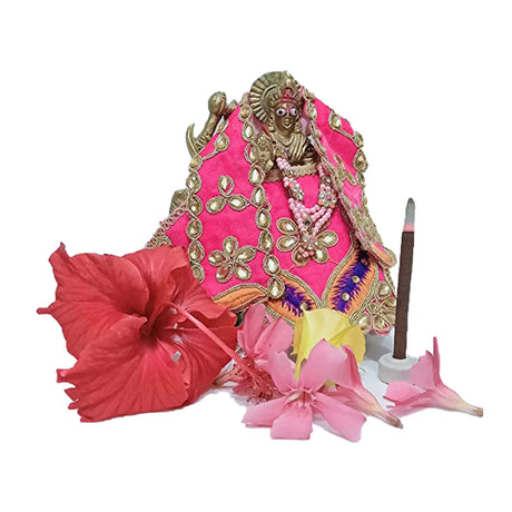 BYFT009047 D Viswa Panchgavya Havan Dhoop Brown 40 Pcs D.webp