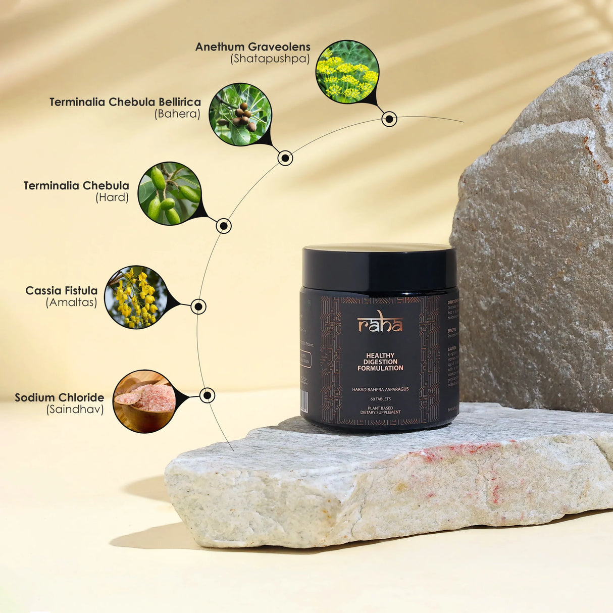 BYFT009371 Raha 100 Natural Healthy Digestion Formulation E scaled.webp