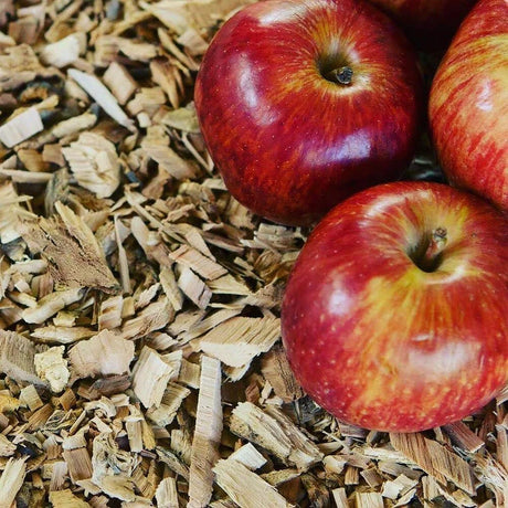 BYFT012239 ProQ Smoking Wood Chips Apple Bag 400g A.webp