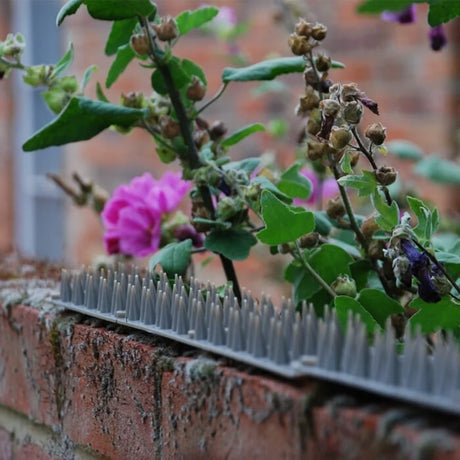 BYFT012393 STV Prickle Strip Garden Fence Topper 45cm B.webp