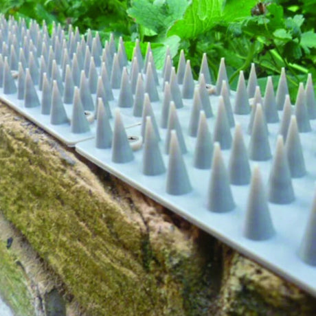 BYFT012443 STV Prickle Strip Brick n Sill Topper 23cm C.webp
