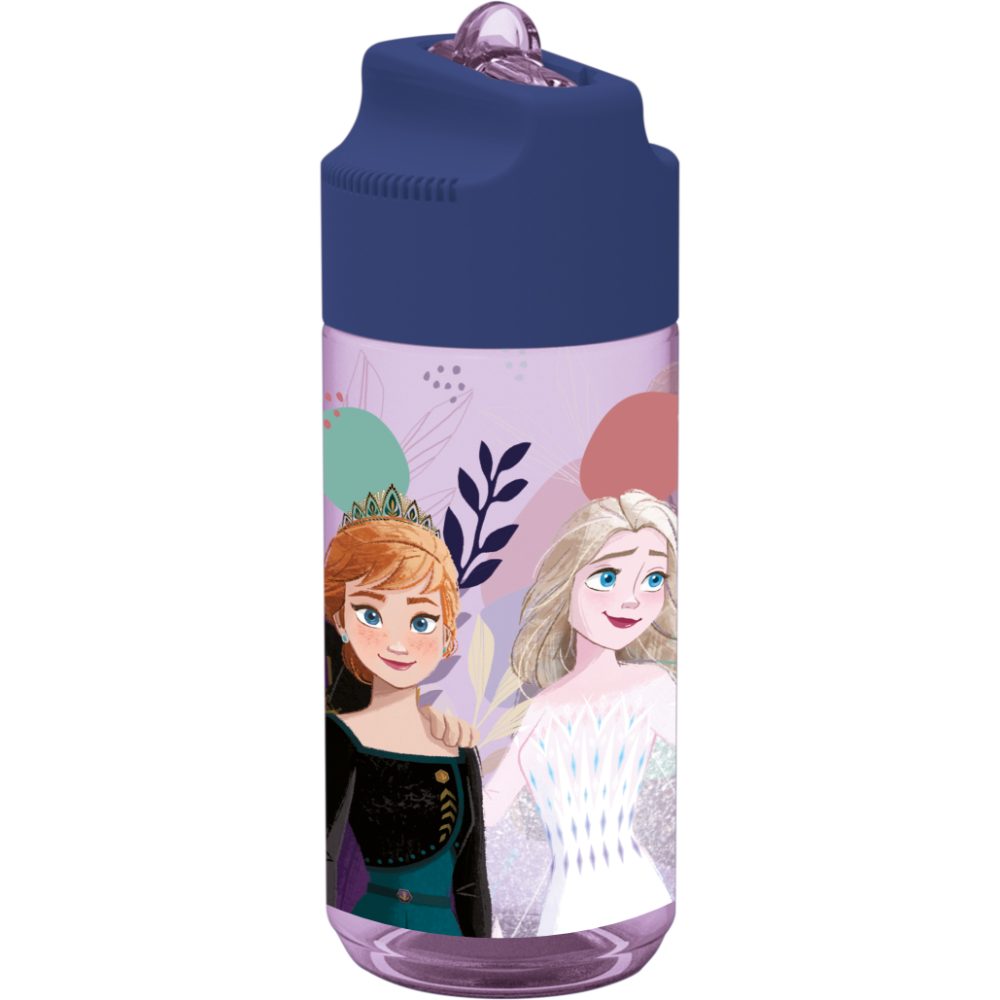 Disney Frozen Bottle Eco Zen Hydro 430 Ml