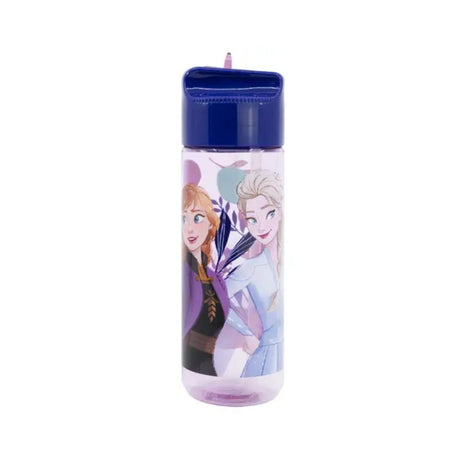 Disney Large Ecozen Hydro Bottle 540 Ml Frozen Trust The Journey